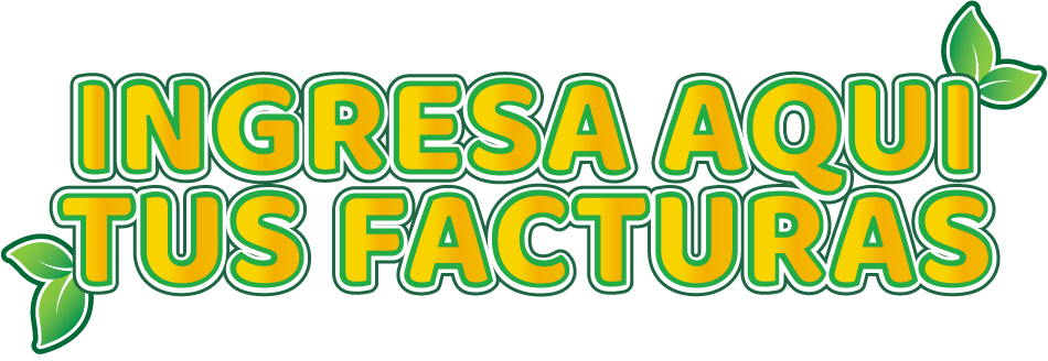 Ingresar aqui facturas